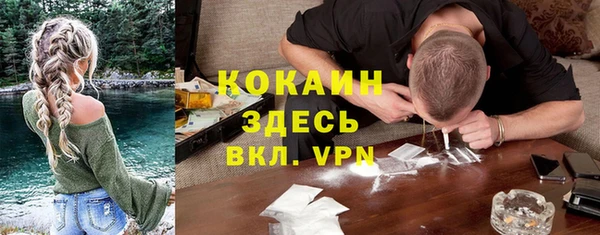 дмт Мегион