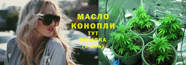 дмт Мегион