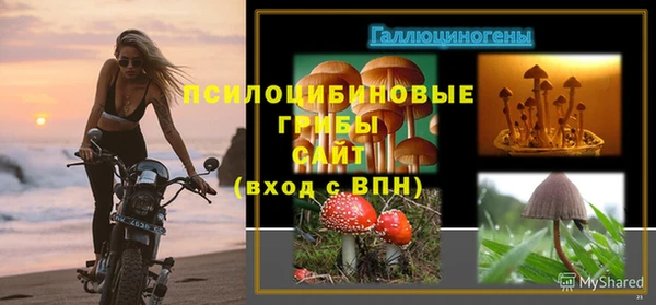 дмт Мегион