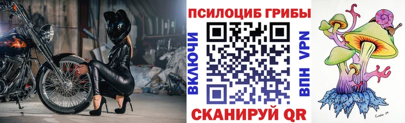 цена   гидра ONION  Галлюциногенные грибы Psilocybe  Нижние Серги 